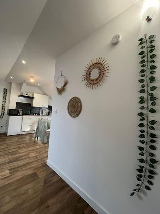 Le Garden 20m² 2 Personnes *